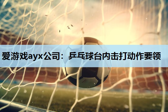 爱游戏ayx公司：乒乓球台内击打动作要领