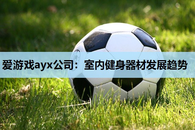 爱游戏ayx公司：室内健身器材发展趋势