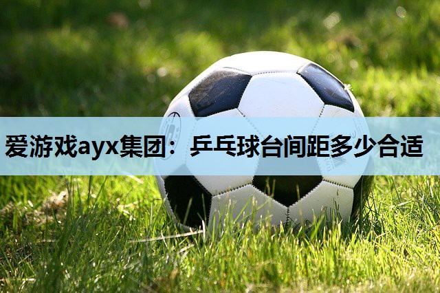 爱游戏ayx集团：乒乓球台间距多少合适