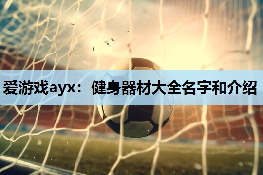 爱游戏ayx：健身器材大全名字和介绍