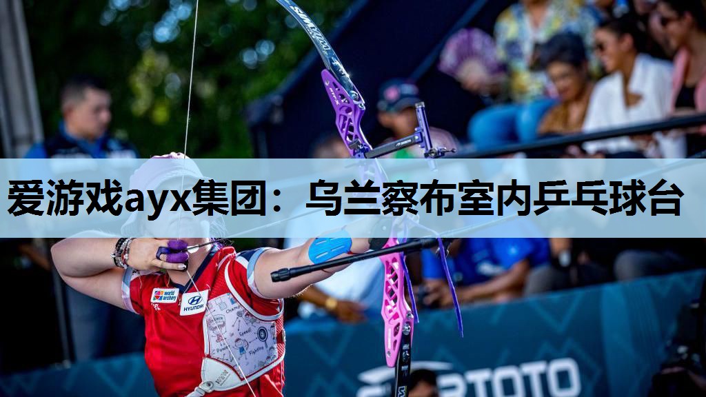 爱游戏ayx集团：乌兰察布室内乒乓球台
