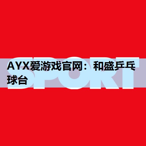 AYX爱游戏官网：和盛乒乓球台