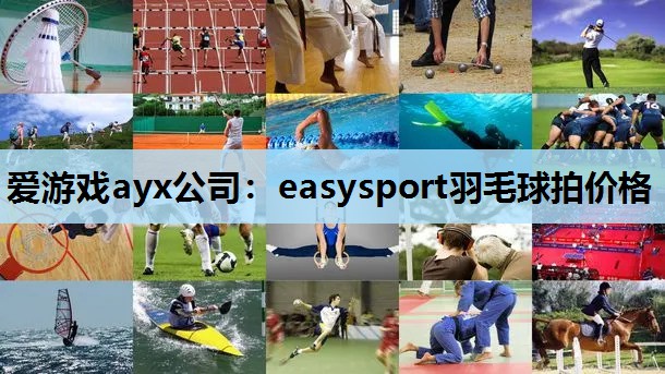 爱游戏ayx公司：easysport羽毛球拍价格