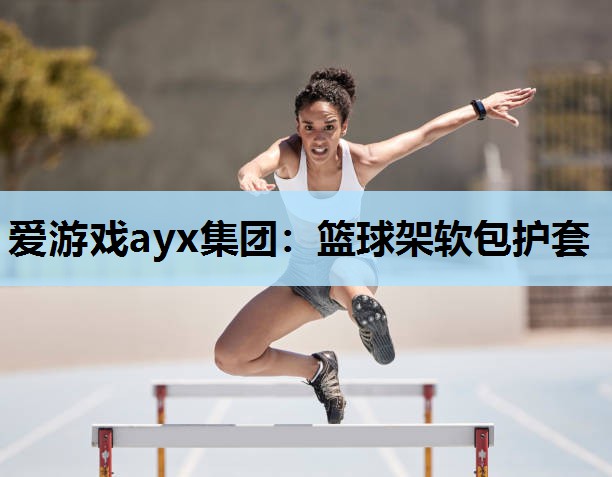 爱游戏ayx集团：篮球架软包护套