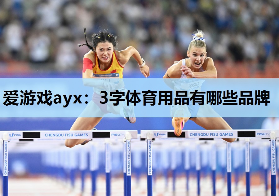爱游戏ayx：3字体育用品有哪些品牌