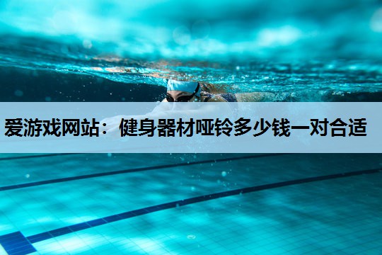 爱游戏网站：健身器材哑铃多少钱一对合适