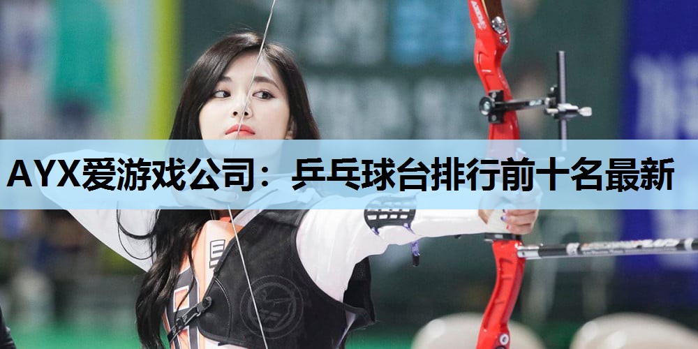 AYX爱游戏公司：乒乓球台排行前十名最新
