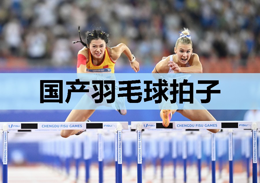 国产羽毛球拍子