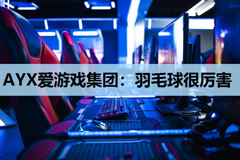 AYX爱游戏集团：羽毛球很厉害