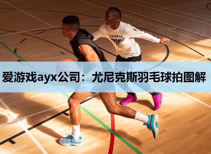 爱游戏ayx公司：尤尼克斯羽毛球拍图解