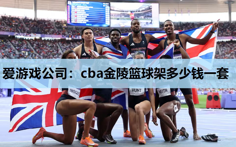 爱游戏公司：cba金陵篮球架多少钱一套