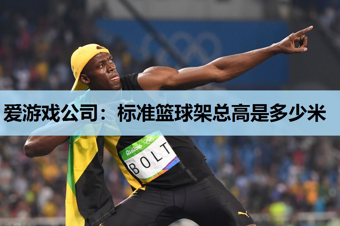 爱游戏公司：标准篮球架总高是多少米