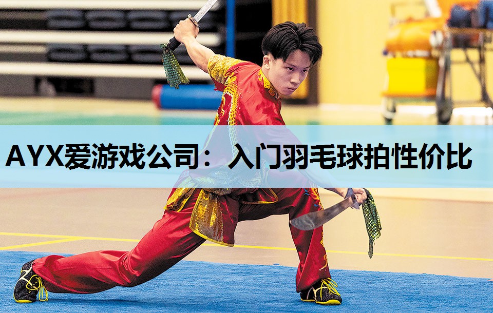 AYX爱游戏公司：入门羽毛球拍性价比