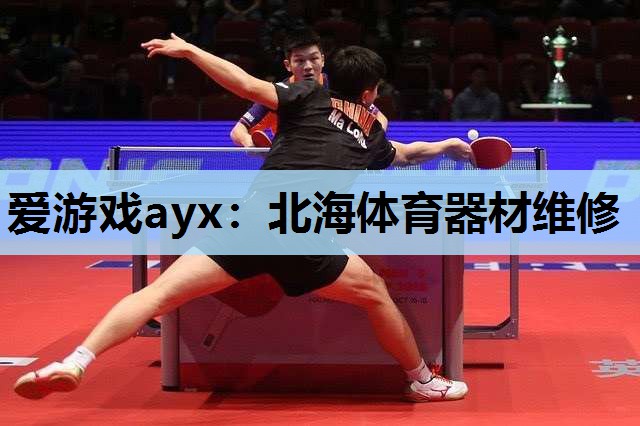 爱游戏ayx：北海体育器材维修