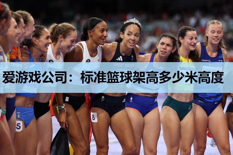 爱游戏公司：标准篮球架高多少米高度