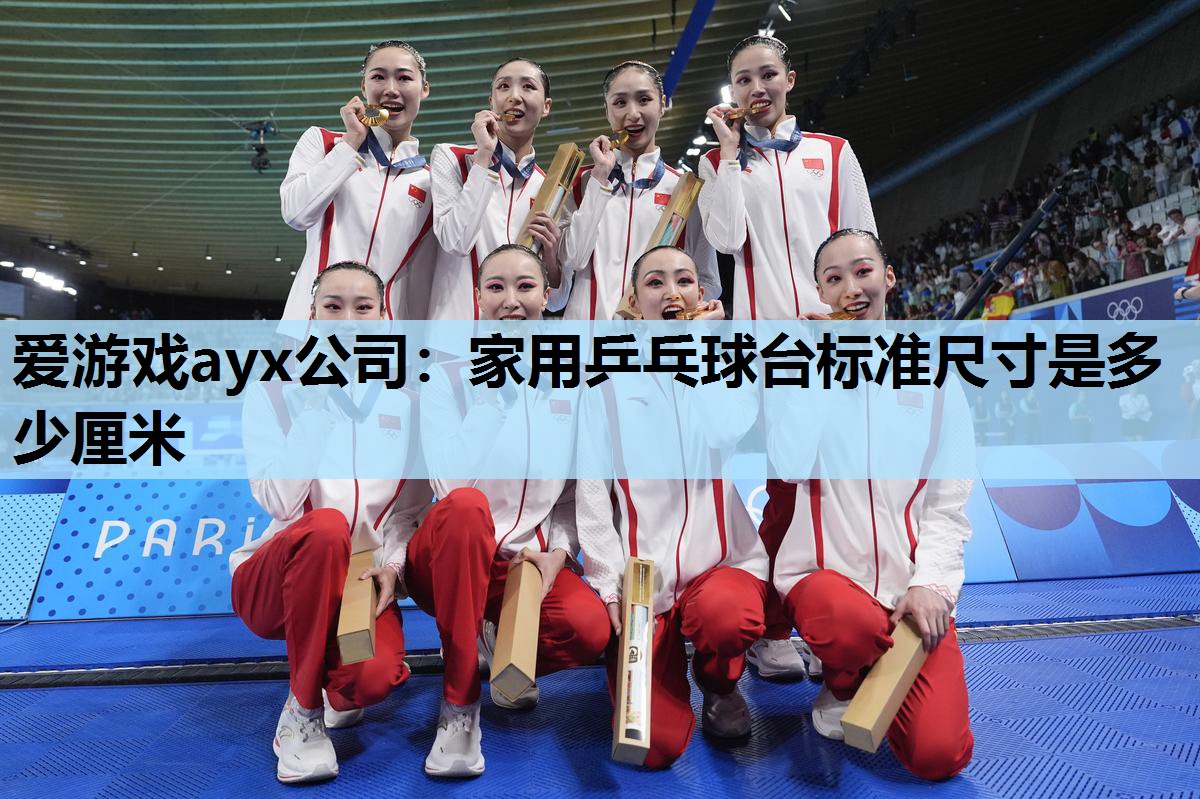 爱游戏ayx公司：家用乒乓球台标准尺寸是多少厘米