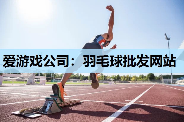 爱游戏公司：羽毛球批发网站