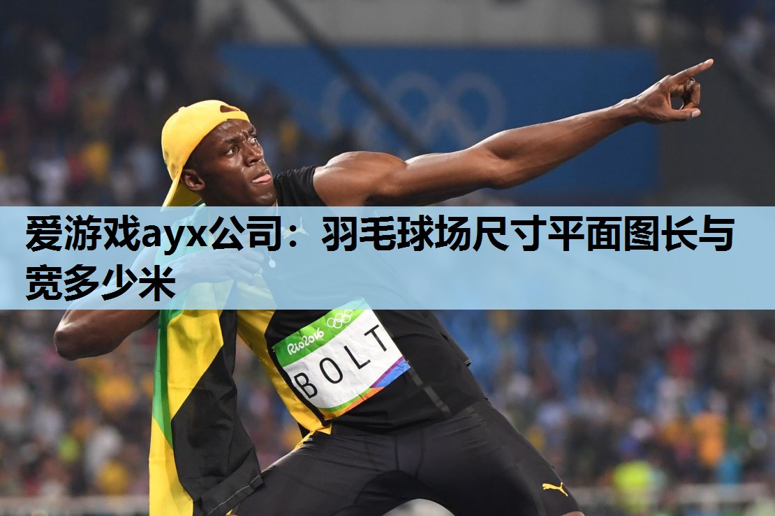 爱游戏ayx公司：羽毛球场尺寸平面图长与宽多少米