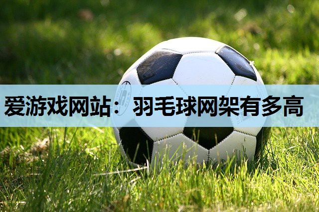 爱游戏网站：羽毛球网架有多高