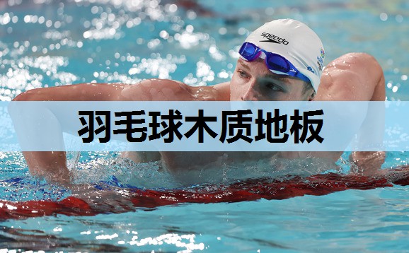 羽毛球木质地板
