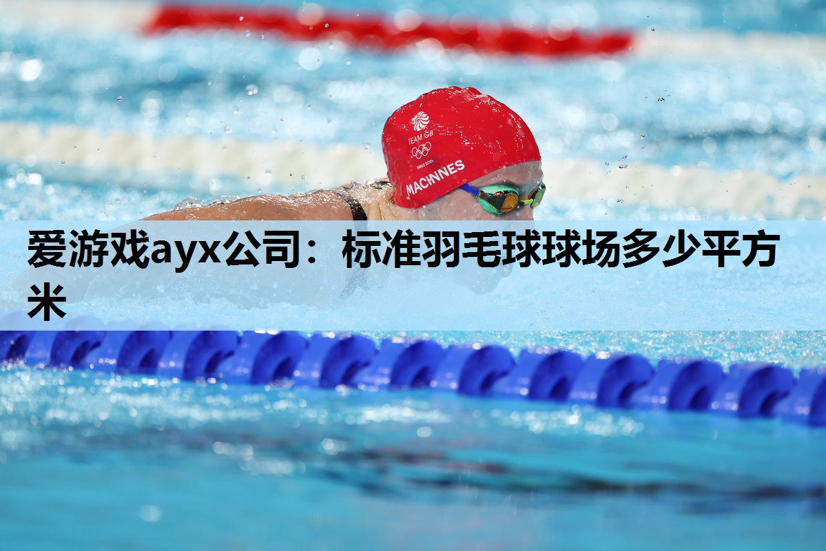 爱游戏ayx公司：标准羽毛球球场多少平方米