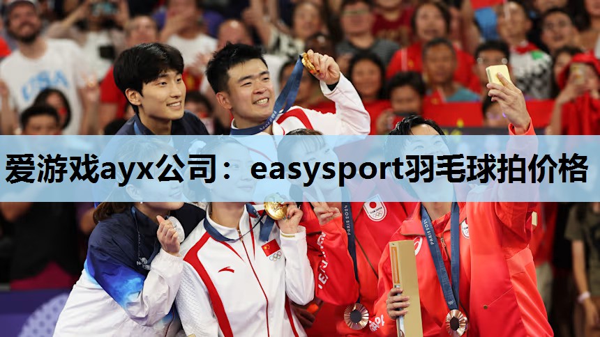 easysport羽毛球拍价格