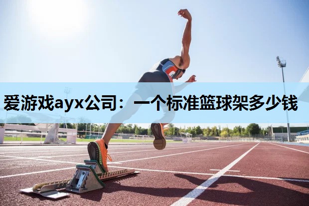 一个标准篮球架多少钱 一个标准篮球架多少钱