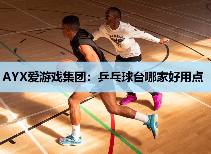 乒乓球台哪家好用点 乒乓球台哪家好用点