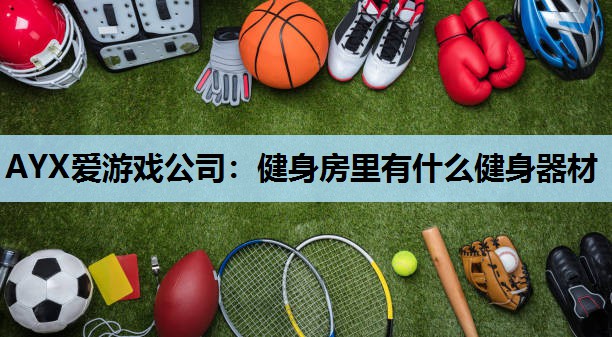 健身房里有什么健身器材 健身房里有什么健身器材