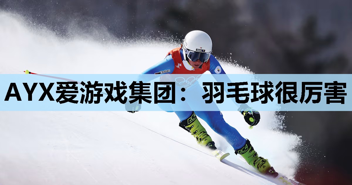 羽毛球很厉害 羽毛球很厉害