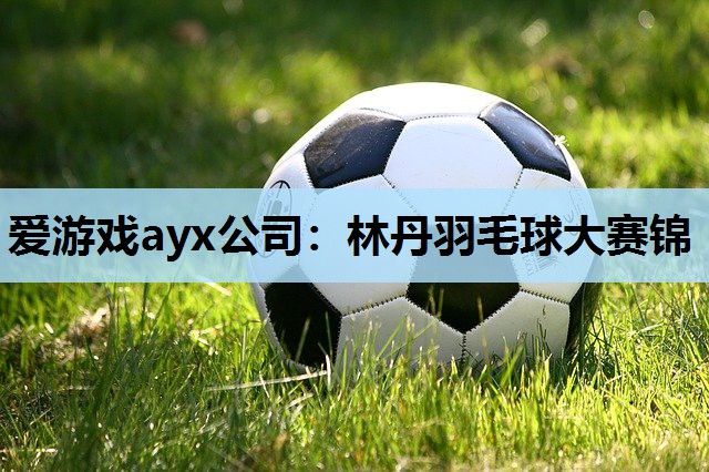 林丹羽毛球大赛锦 林丹羽毛球大赛锦