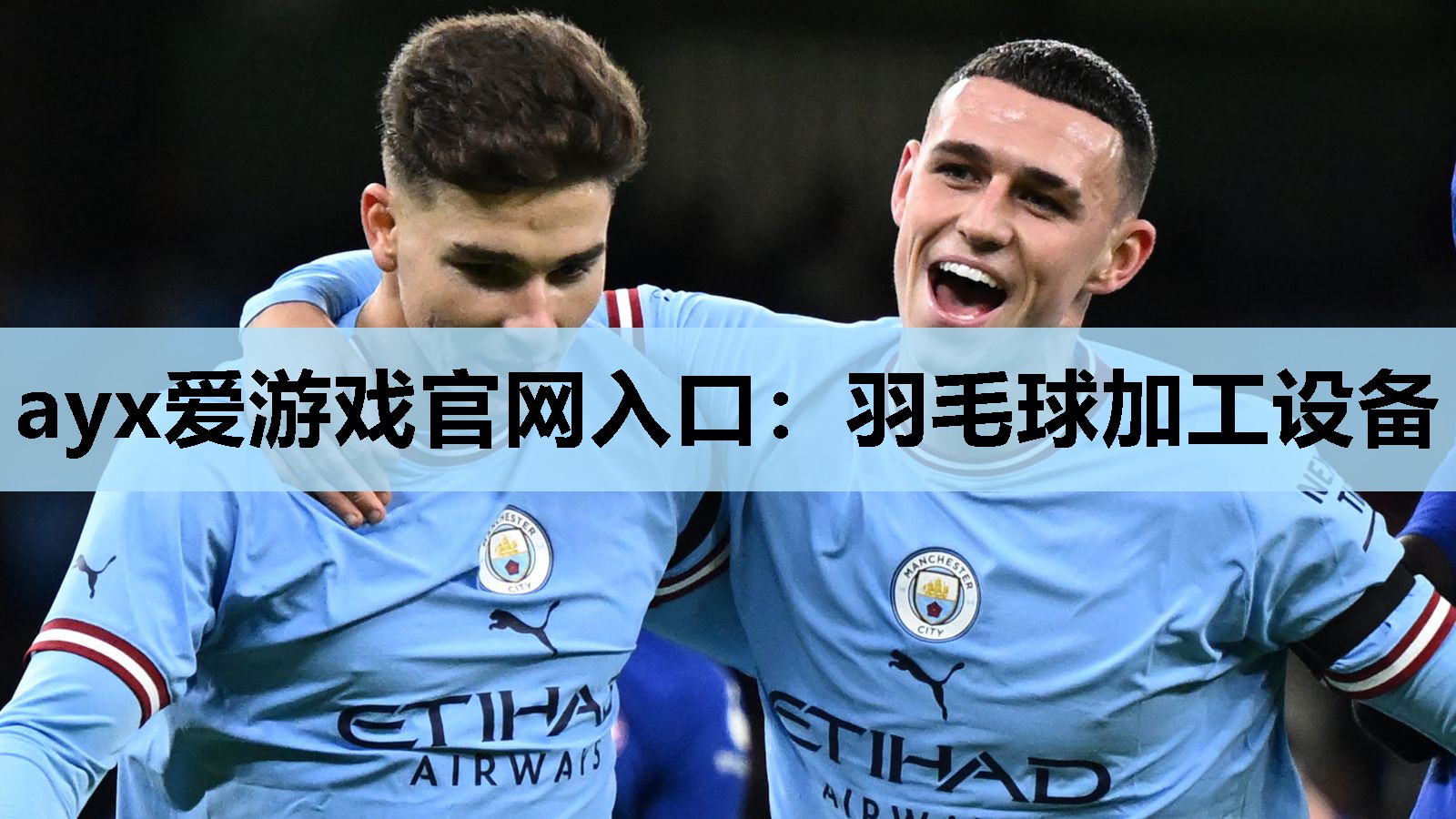 羽毛球加工设备 羽毛球加工设备