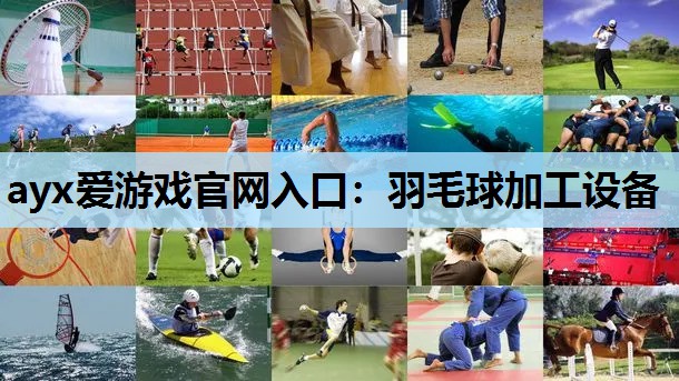 羽毛球加工设备 羽毛球加工设备