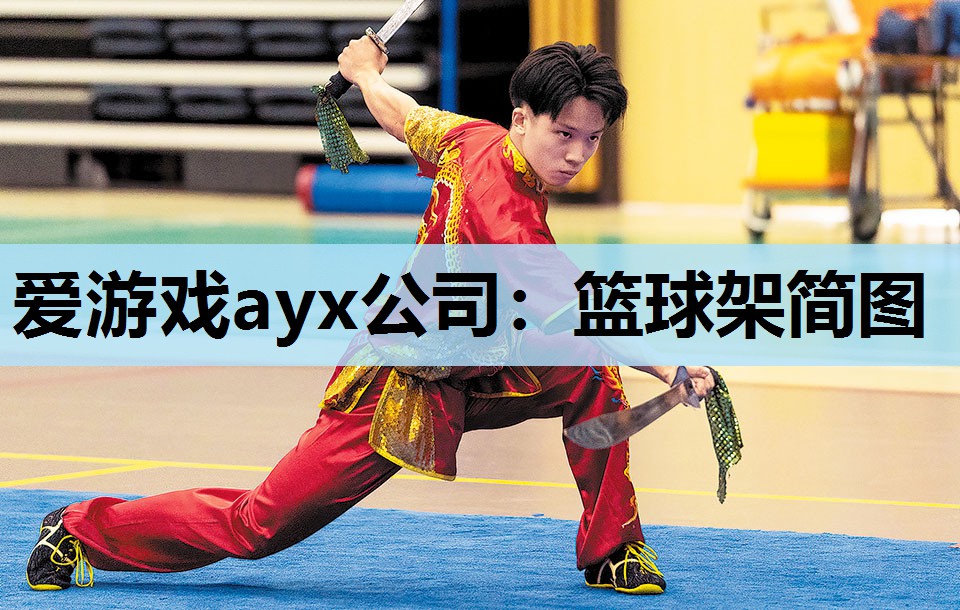篮球架简图 篮球架简图