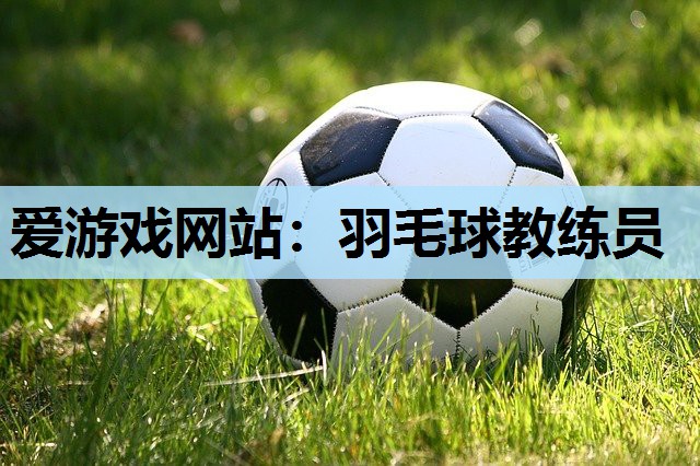 羽毛球教练员 羽毛球教练员
